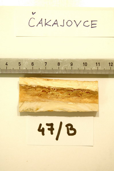 Bone sample