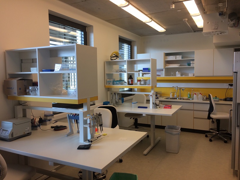 Post-PCR laboratory.