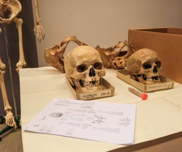 kutatok_ejszakaja_archeogenomika_1